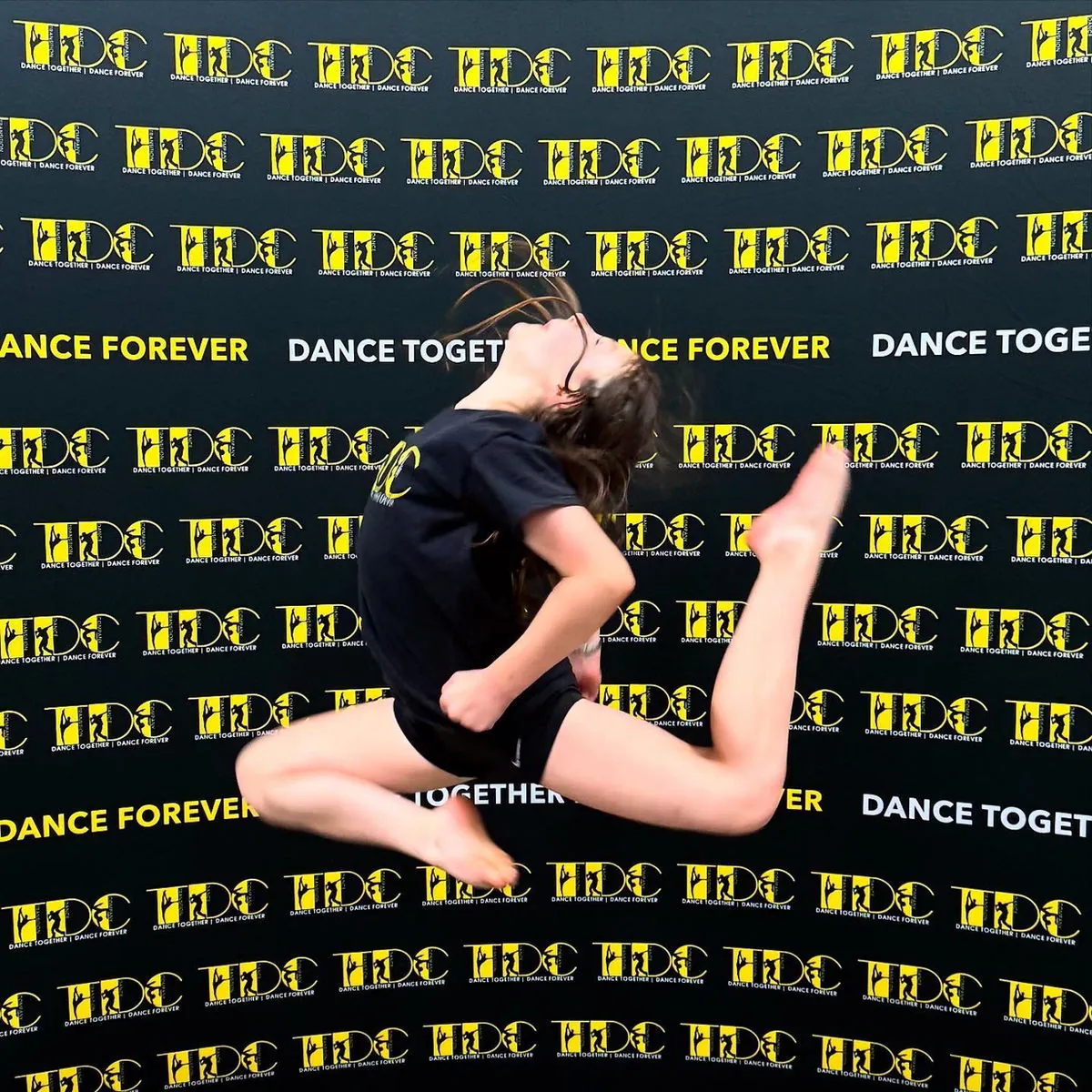 TDC show photo 9